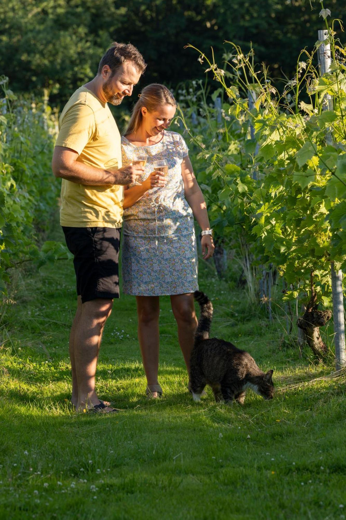 Holmegaard Vin Og Glamping Hotel Dannemare Kültér fotó