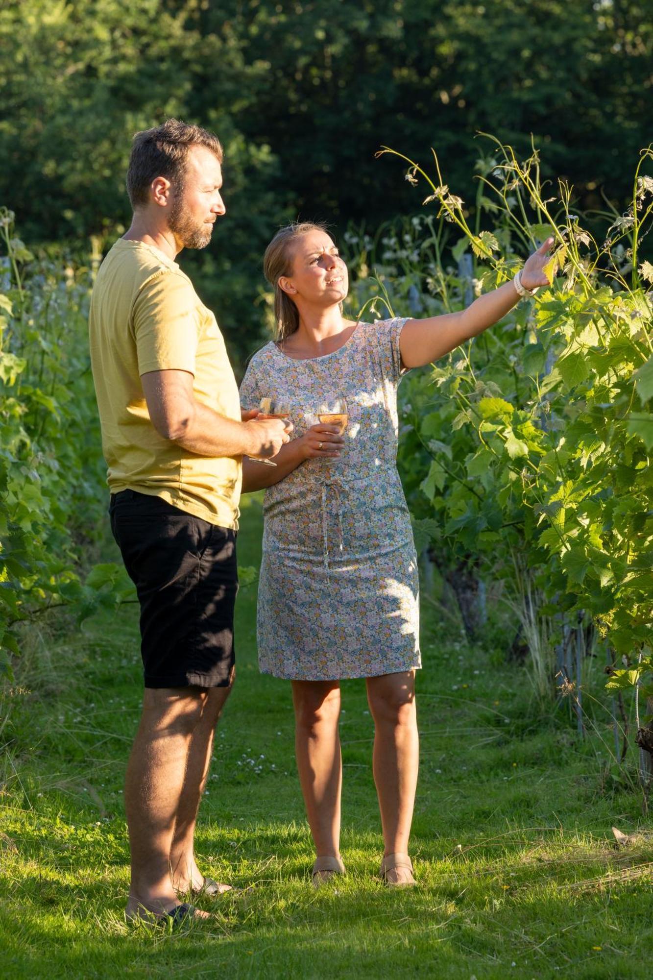 Holmegaard Vin Og Glamping Hotel Dannemare Kültér fotó